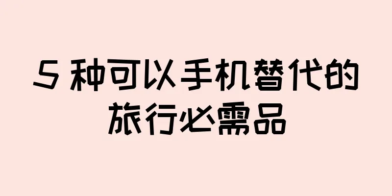 5 种可以手机替代的旅行必需品