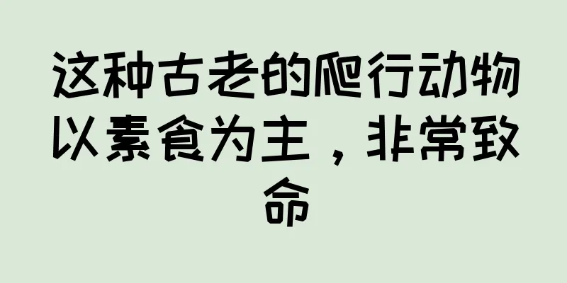 这种古老的爬行动物以素食为主，非常致命