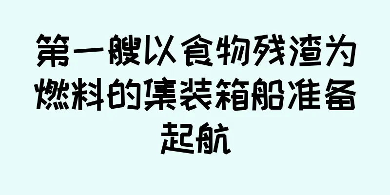 第一艘以食物残渣为燃料的集装箱船准备起航