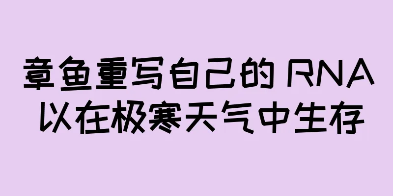 章鱼重写自己的 RNA 以在极寒天气中生存