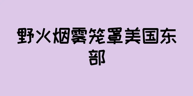 野火烟雾笼罩美国东部