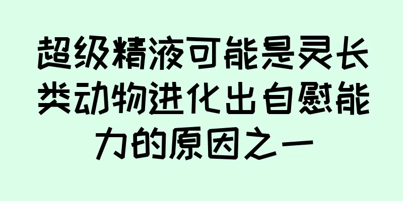 超级精液可能是灵长类动物进化出自慰能力的原因之一