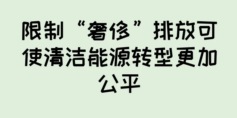 限制“奢侈”排放可使清洁能源转型更加公平