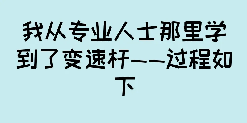 我从专业人士那里学到了变速杆——过程如下