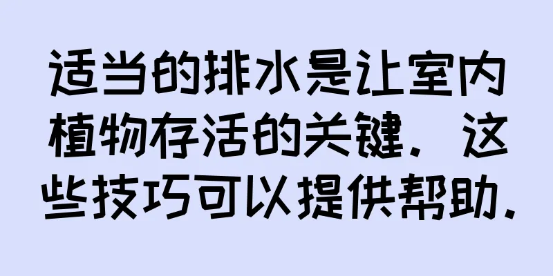 适当的排水是让室内植物存活的关键。这些技巧可以提供帮助。