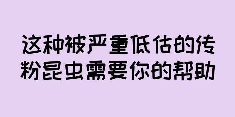 这种被严重低估的传粉昆虫需要你的帮助
