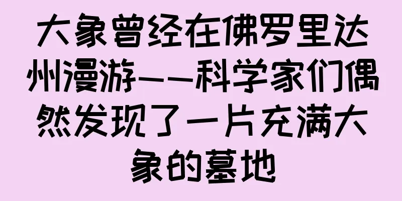 大象曾经在佛罗里达州漫游——科学家们偶然发现了一片充满大象的墓地