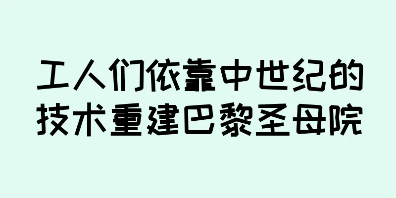 工人们依靠中世纪的技术重建巴黎圣母院