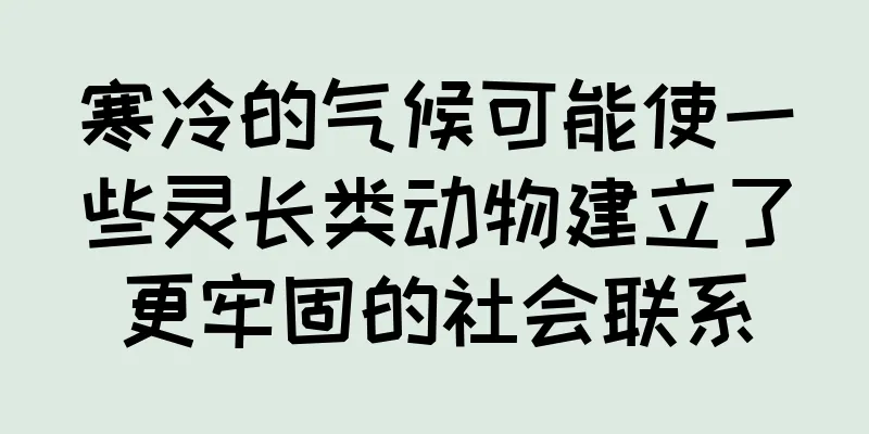 寒冷的气候可能使一些灵长类动物建立了更牢固的社会联系