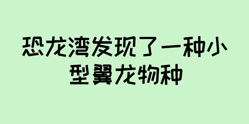 恐龙湾发现了一种小型翼龙物种
