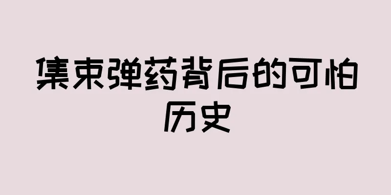 集束弹药背后的可怕历史