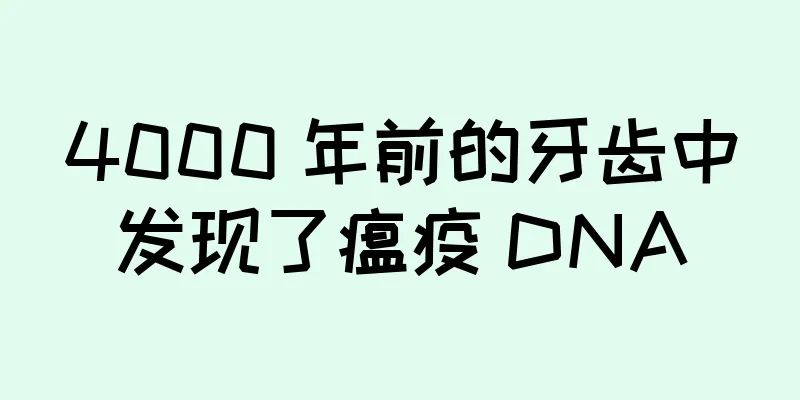 4000 年前的牙齿中发现了瘟疫 DNA