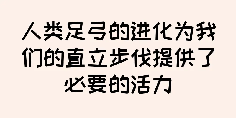 人类足弓的进化为我们的直立步伐提供了必要的活力