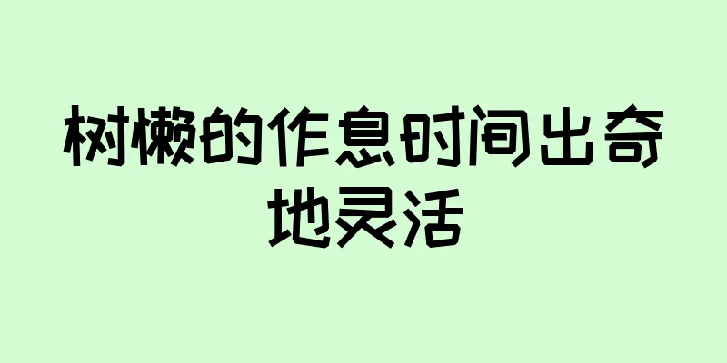 树懒的作息时间出奇地灵活
