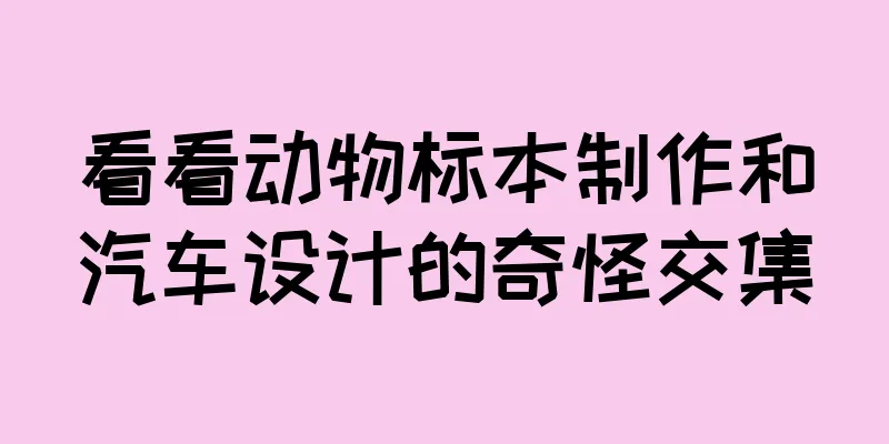 看看动物标本制作和汽车设计的奇怪交集