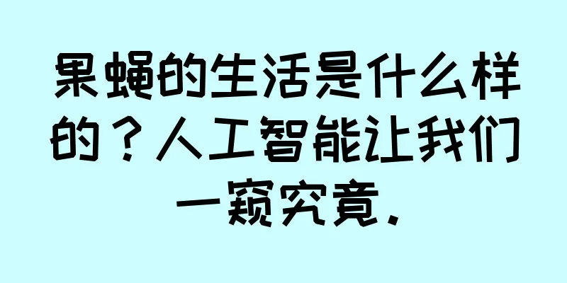 果蝇的生活是什么样的？人工智能让我们一窥究竟。