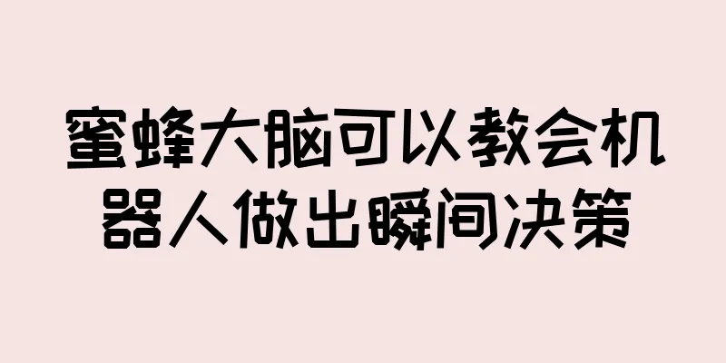 蜜蜂大脑可以教会机器人做出瞬间决策