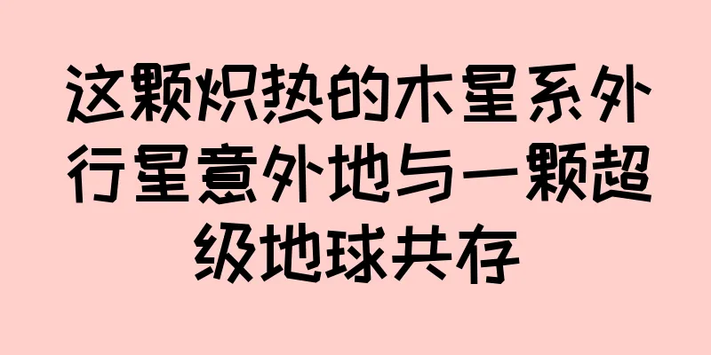 这颗炽热的木星系外行星意外地与一颗超级地球共存