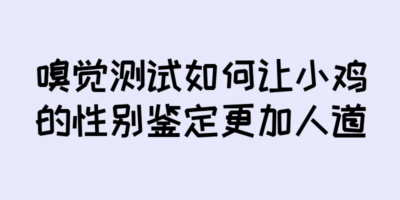 嗅觉测试如何让小鸡的性别鉴定更加人道