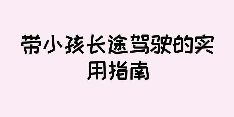 带小孩长途驾驶的实用指南