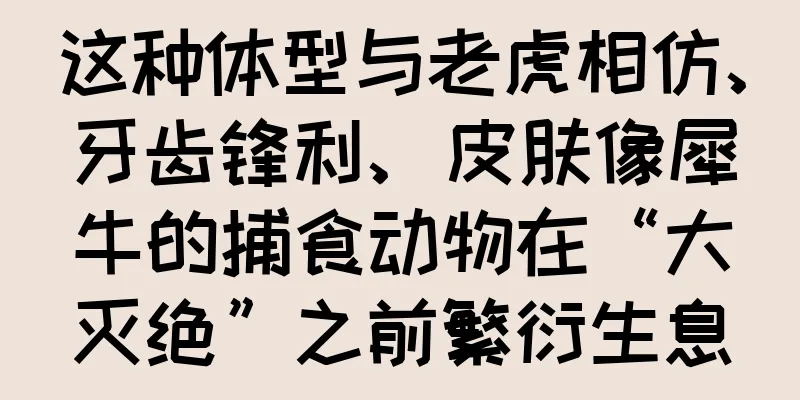 这种体型与老虎相仿、牙齿锋利、皮肤像犀牛的捕食动物在“大灭绝”之前繁衍生息