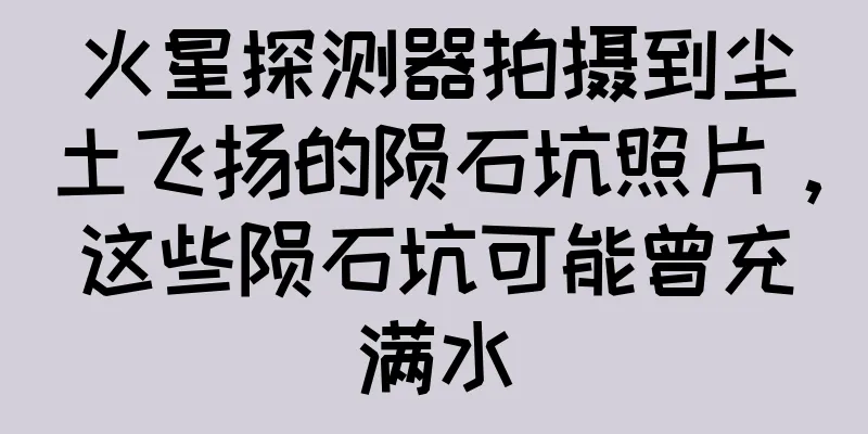 火星探测器拍摄到尘土飞扬的陨石坑照片，这些陨石坑可能曾充满水