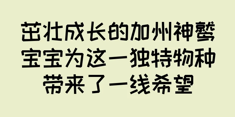 茁壮成长的加州神鹫宝宝为这一独特物种带来了一线希望