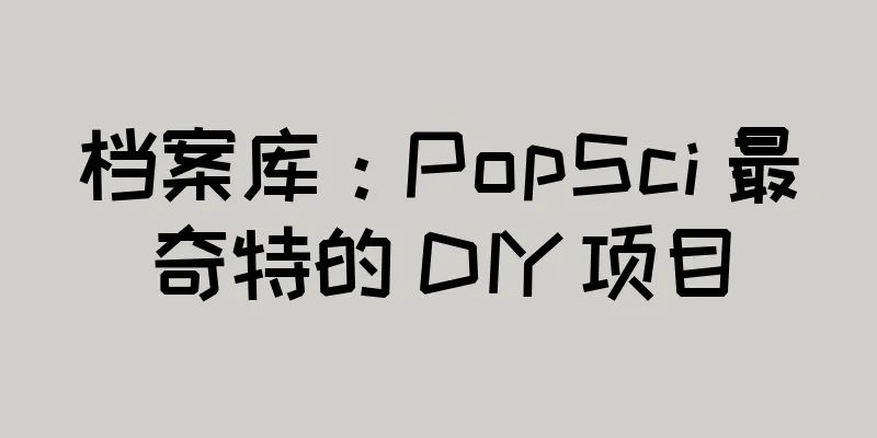 档案库：PopSci 最奇特的 DIY 项目