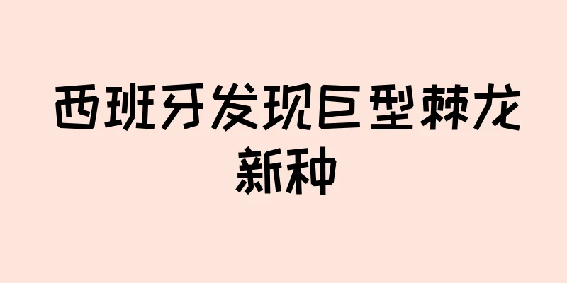 西班牙发现巨型棘龙新种