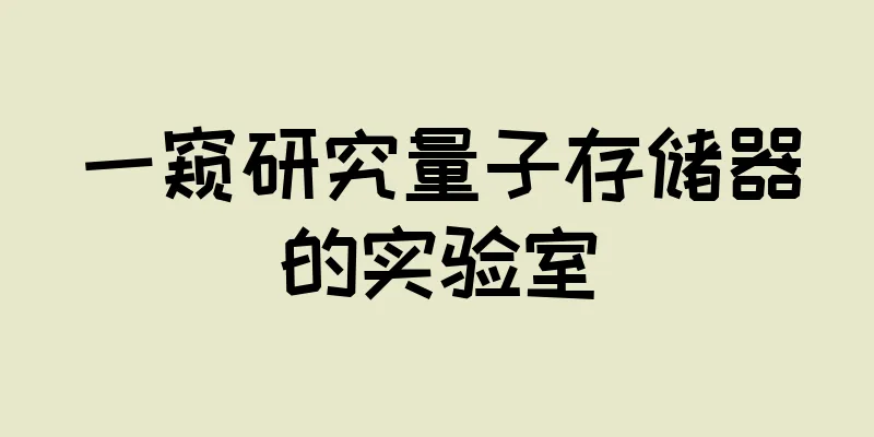 一窥研究量子存储器的实验室
