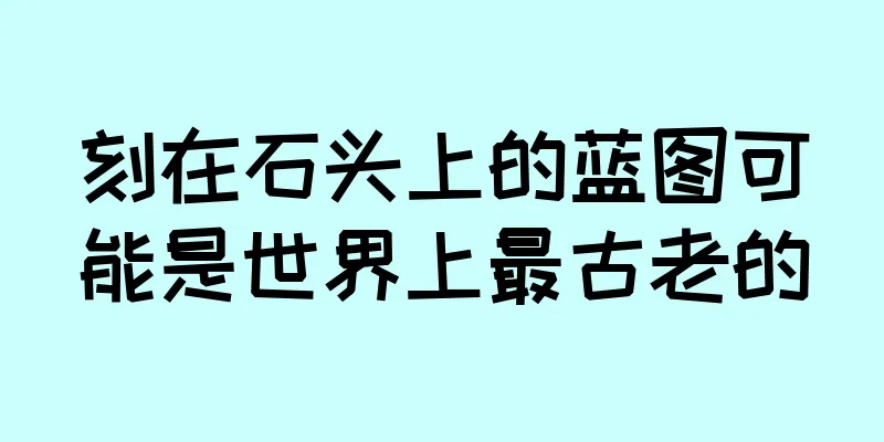 刻在石头上的蓝图可能是世界上最古老的