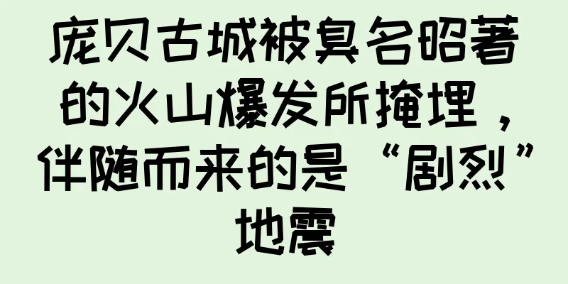 庞贝古城被臭名昭著的火山爆发所掩埋，伴随而来的是“剧烈”地震