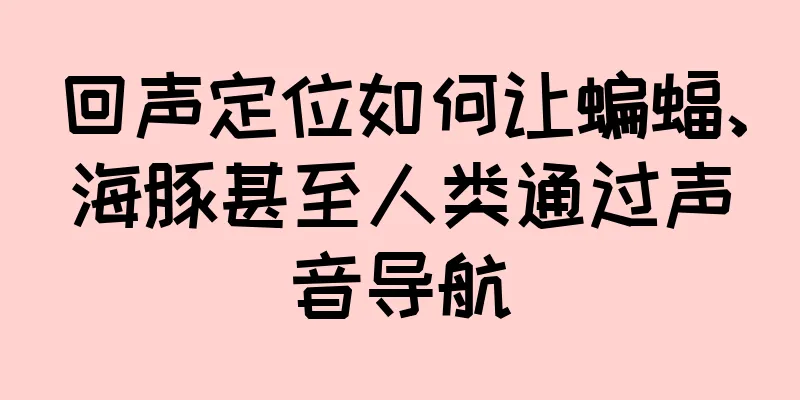 回声定位如何让蝙蝠、海豚甚至人类通过声音导航