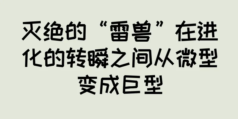 灭绝的“雷兽”在进化的转瞬之间从微型变成巨型
