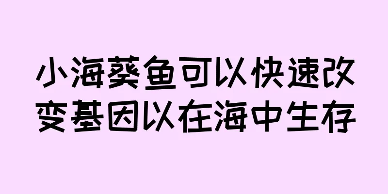 小海葵鱼可以快速改变基因以在海中生存