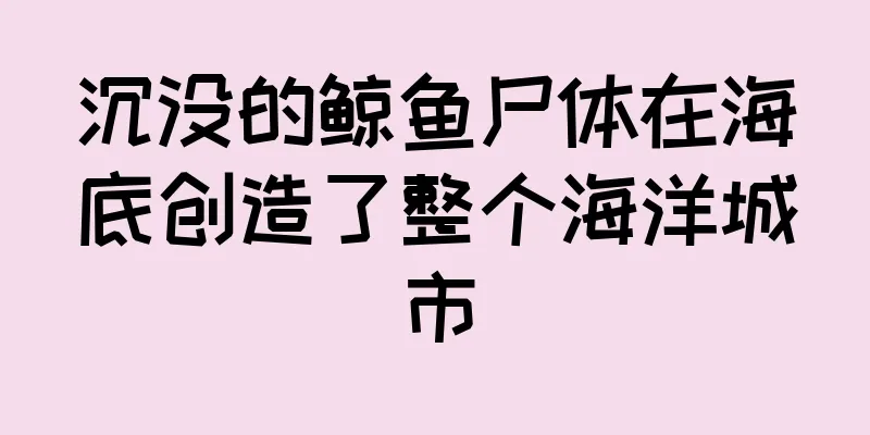 沉没的鲸鱼尸体在海底创造了整个海洋城市