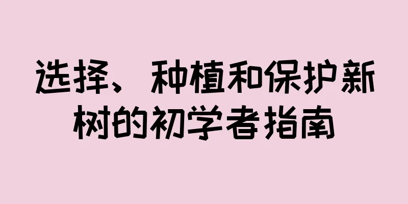 选择、种植和保护新树的初学者指南