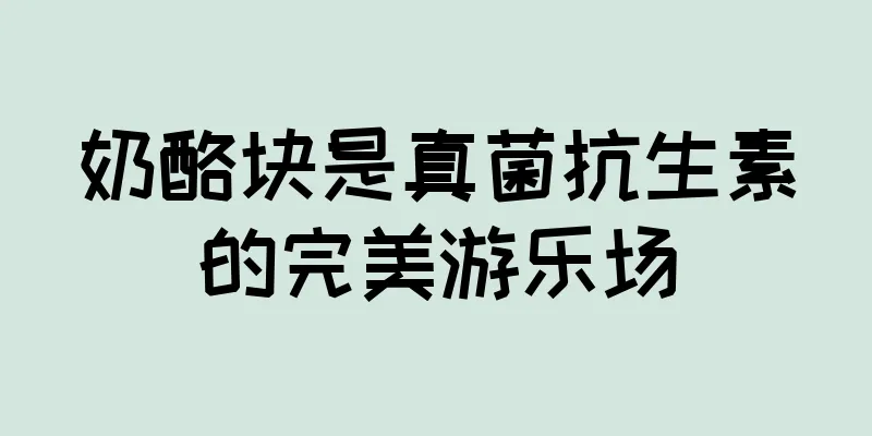 奶酪块是真菌抗生素的完美游乐场