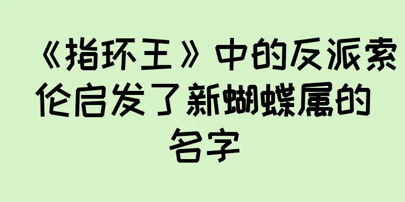 《指环王》中的反派索伦启发了新蝴蝶属的名字