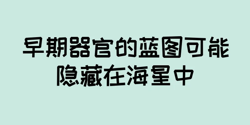 早期器官的蓝图可能隐藏在海星中