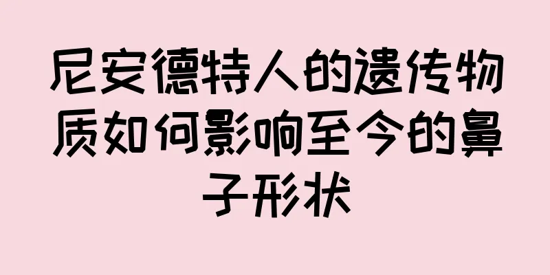 尼安德特人的遗传物质如何影响至今的鼻子形状