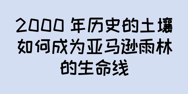 2000 年历史的土壤如何成为亚马逊雨林的生命线