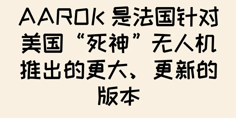 AAROK 是法国针对美国“死神”无人机推出的更大、更新的版本