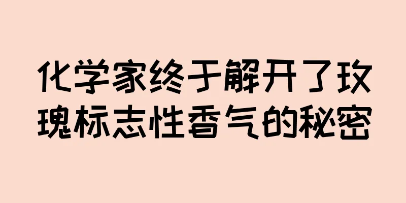 化学家终于解开了玫瑰标志性香气的秘密