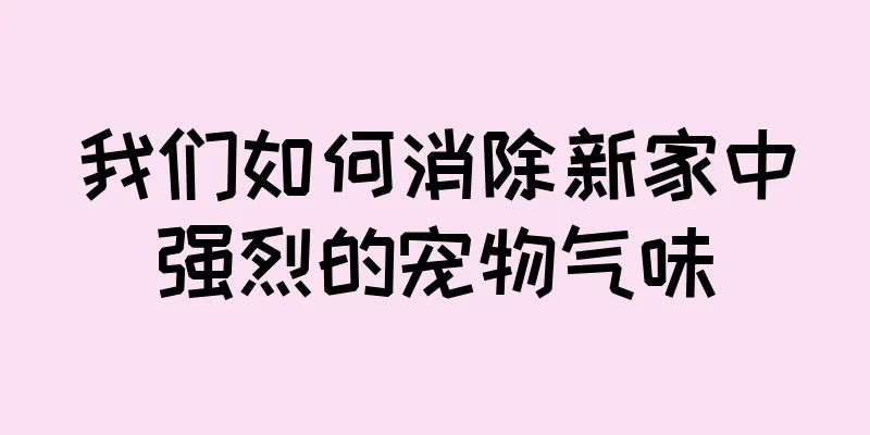 我们如何消除新家中强烈的宠物气味