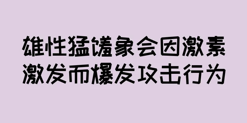 雄性猛犸象会因激素激发而爆发攻击行为