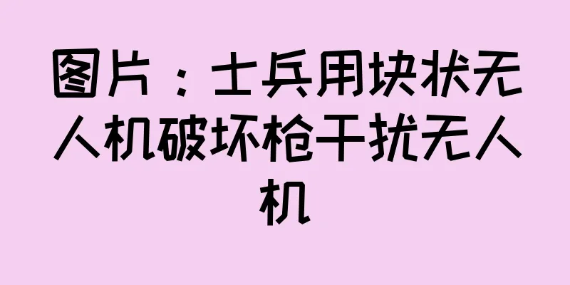 图片：士兵用块状无人机破坏枪干扰无人机
