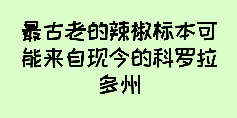 最古老的辣椒标本可能来自现今的科罗拉多州