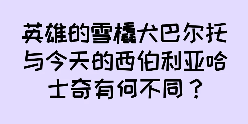英雄的雪橇犬巴尔托与今天的西伯利亚哈士奇有何不同？