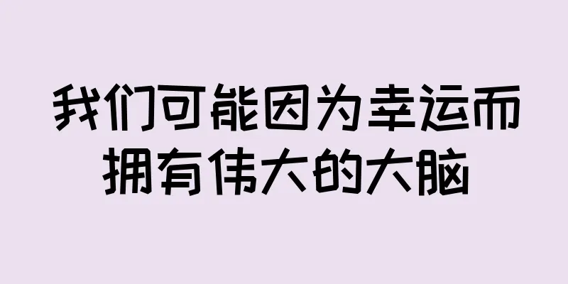 我们可能因为幸运而拥有伟大的大脑